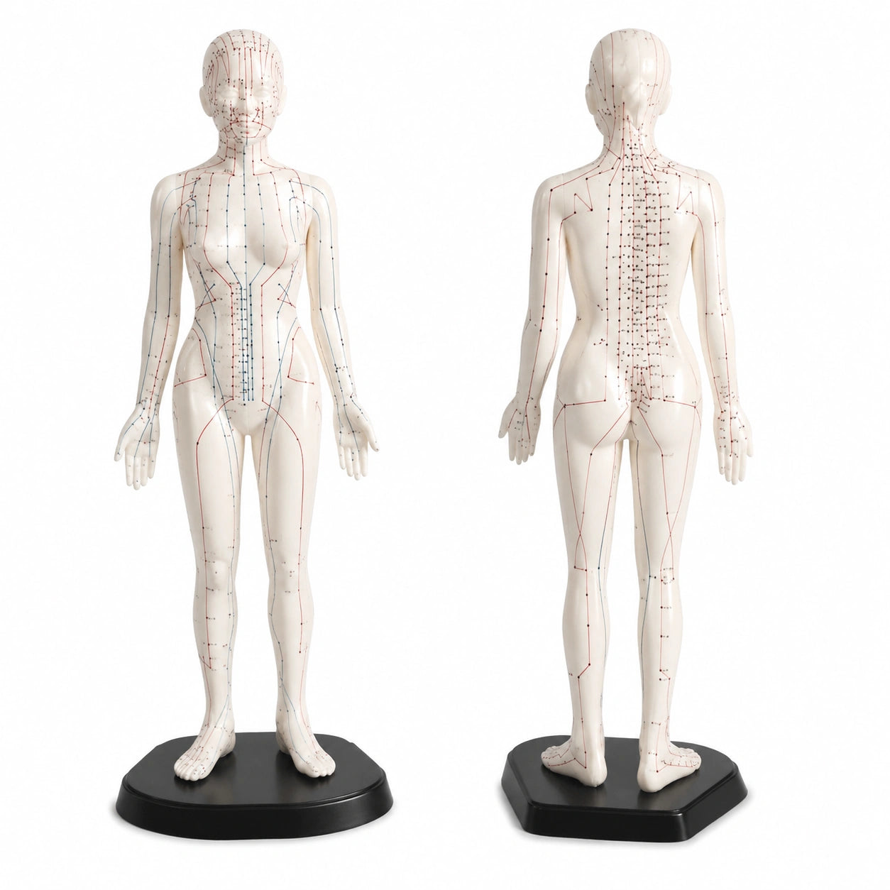 poupee-d-acupuncture-feminine-48-cm-avec-meridiens-et-points-de-pression-gmzelj4997na