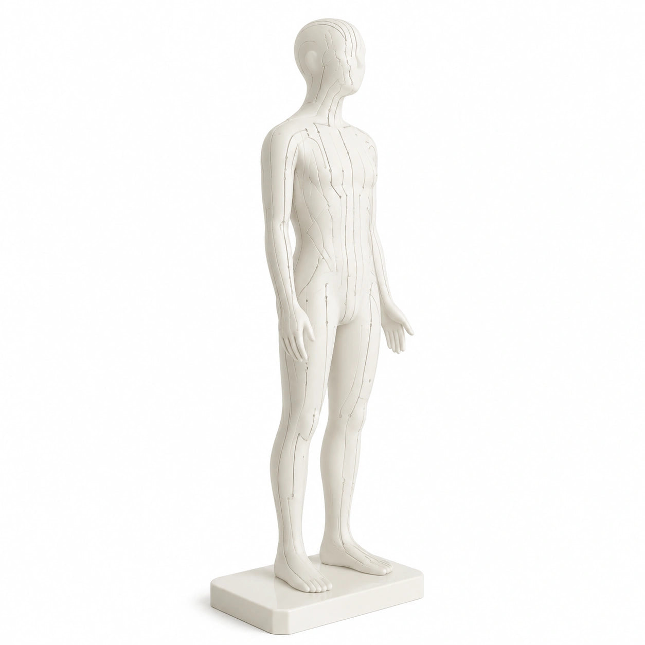 figure-anatomique-de-l-homme-avec-meridiens-et-points-d-acupuncture-pour-formation-vpnxit4975hr
